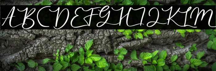 Aulores Regular Example 2