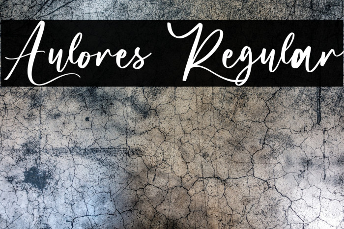 Aulores Regular Example 1