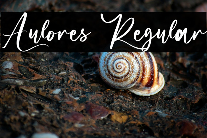 Aulores Regular Example 3