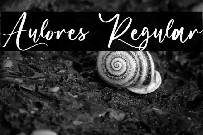 Aulores Regular Font examples