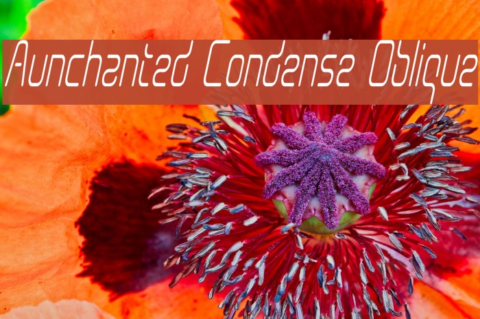Aunchanted Condense Oblique Font examples