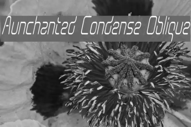 Aunchanted Condense Oblique Font examples