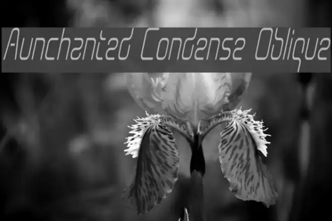 Aunchanted Condense Oblique Font examples
