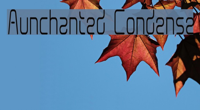 Aunchanted Condense Font examples