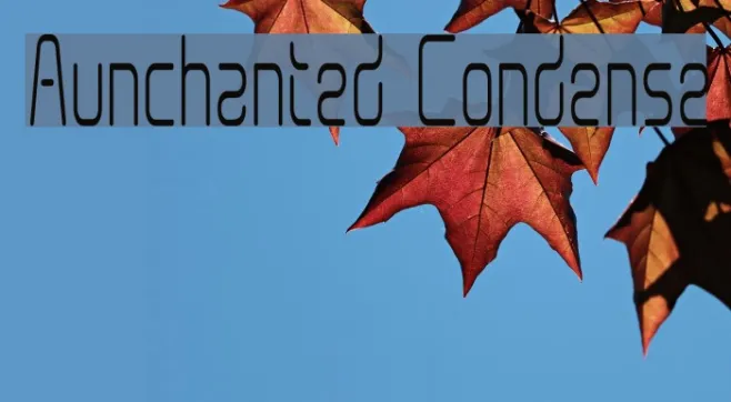 Aunchanted Condense Example 2