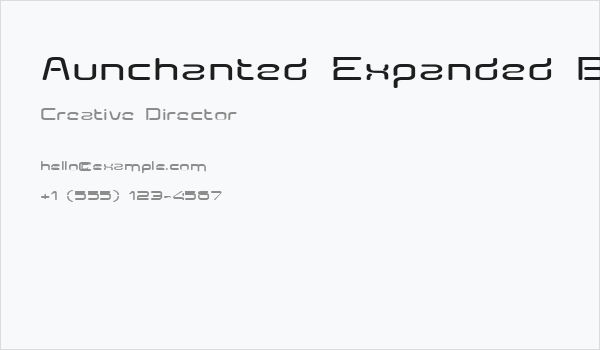 Aunchanted Expanded Bold Business Card