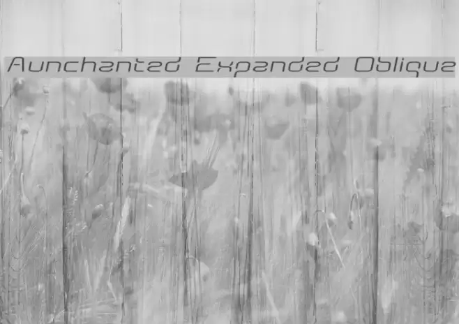 Aunchanted Expanded Oblique Шрифта examples