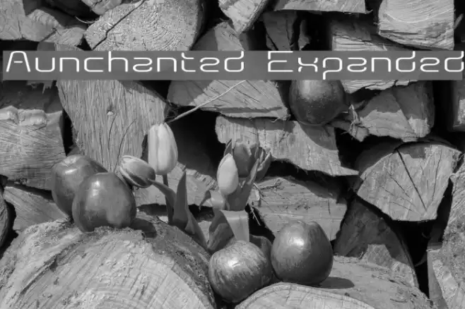 Aunchanted Expanded Font examples