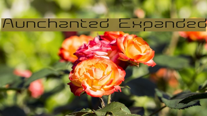 Aunchanted Expanded Font examples