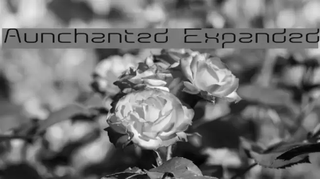 Aunchanted Expanded Font examples