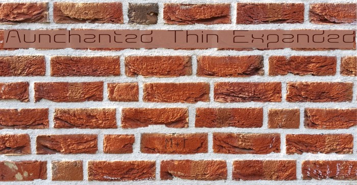 Aunchanted Thin Expanded Font examples