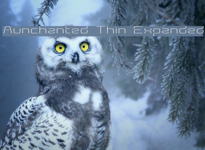 Aunchanted Thin Expanded Font examples