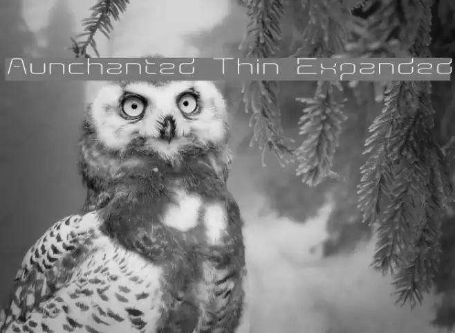 Aunchanted Thin Expanded Шрифта examples