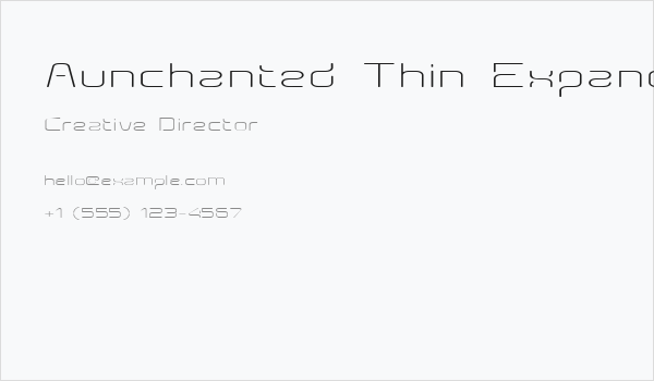 Aunchanted Thin Expanded Business Card