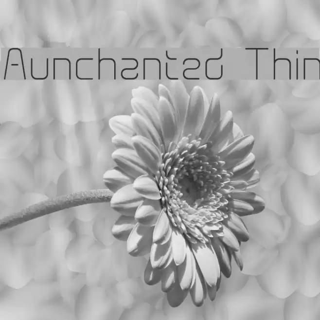 Aunchanted Thin Font examples
