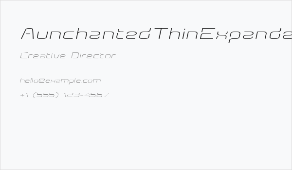 AunchantedThinExpandedOblique Business Card
