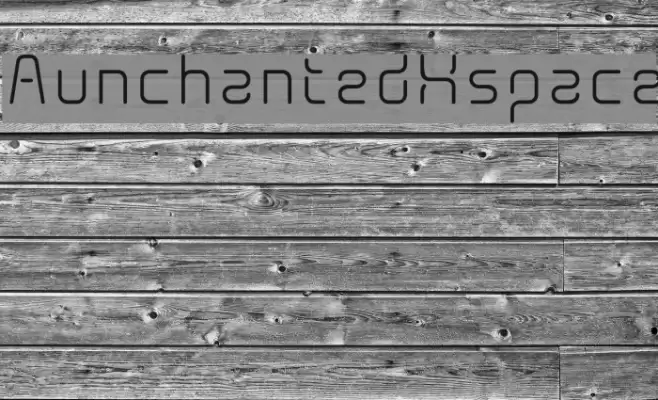 AunchantedXspace Polices examples