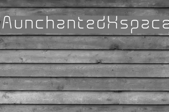 AunchantedXspace Polices examples
