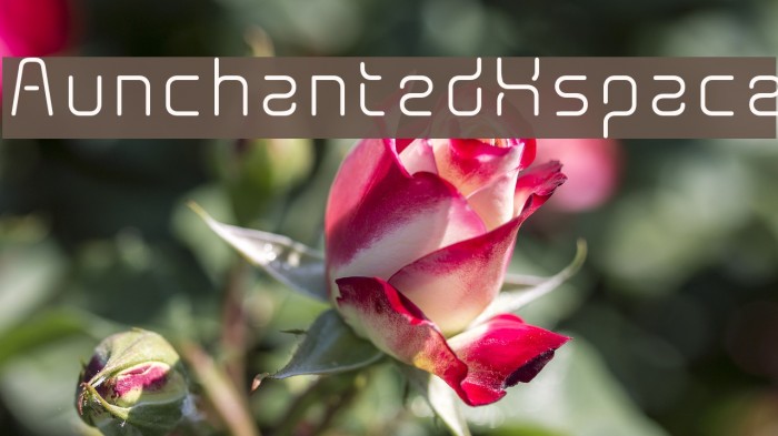 AunchantedXspace Font examples
