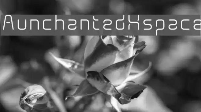 AunchantedXspace Polices examples