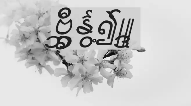 Aung San Burma Fonte examples
