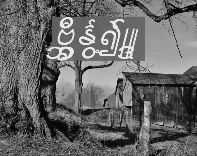 Aung San Burma Fonte examples