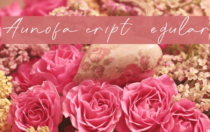 Aunofa Script DEMO Regular Fonte examples