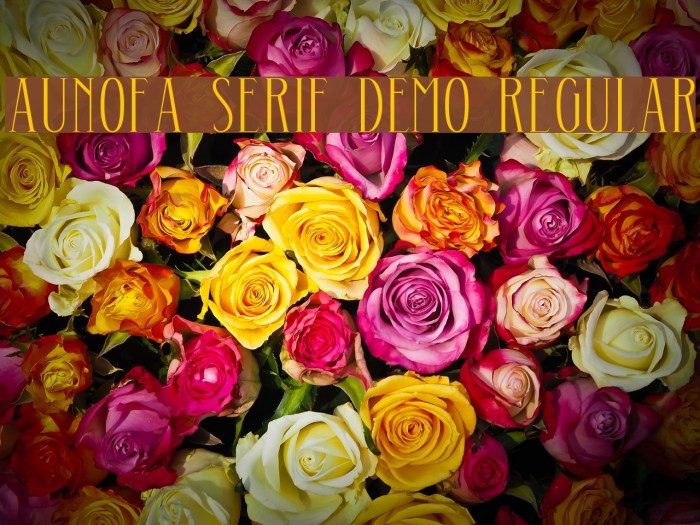 Aunofa Serif DEMO Regular Font examples