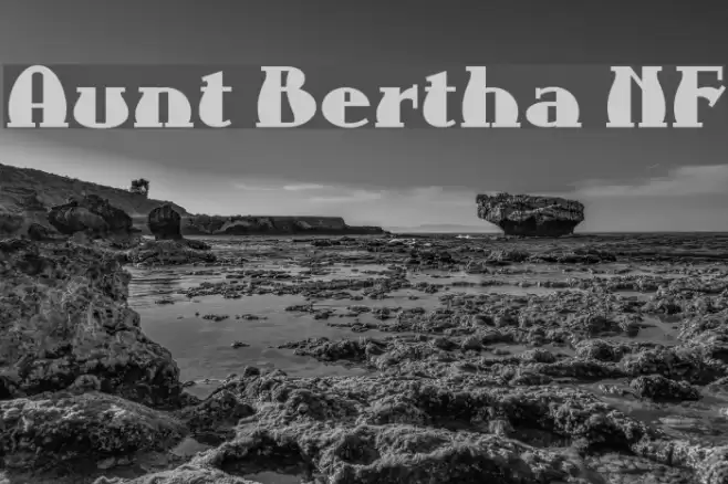 Aunt Bertha NF Font examples