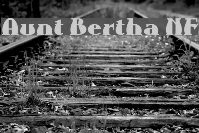 Aunt Bertha NF Font examples