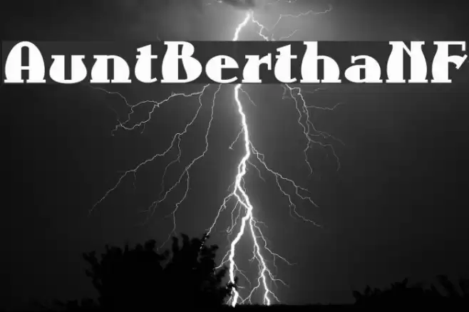 AuntBerthaNF Font examples