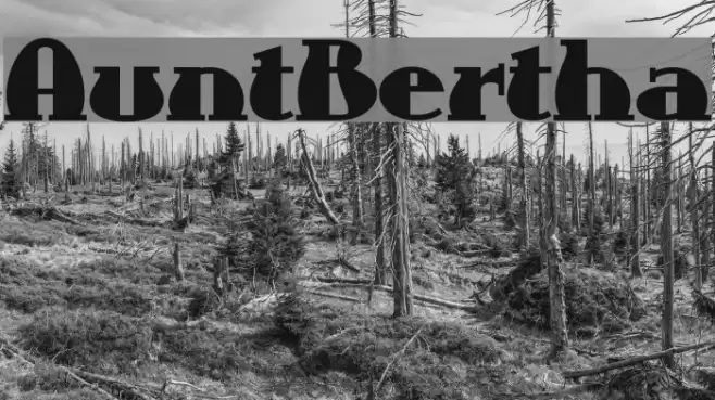 AuntBertha Font examples