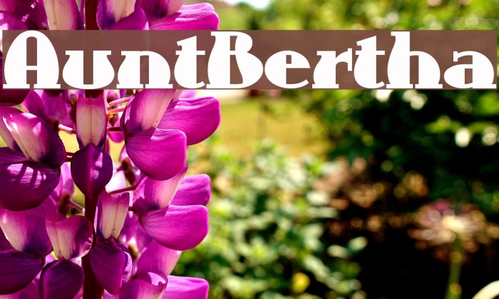AuntBertha フォント examples