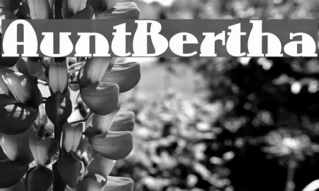 AuntBertha Font examples