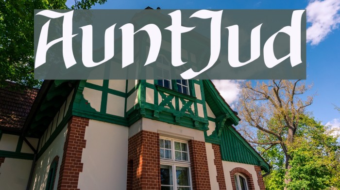 AuntJudy Font examples