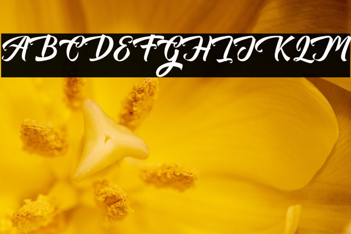 AuntekhnoScriptFree Example 1