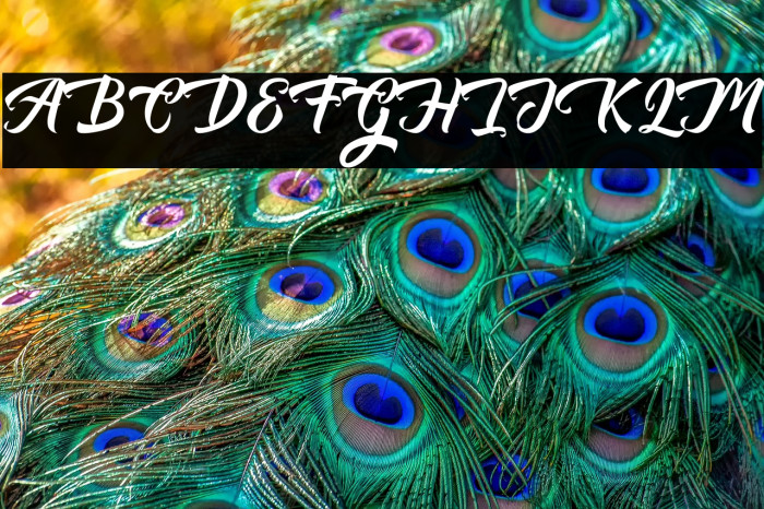 AuntekhnoScriptFree Example 3