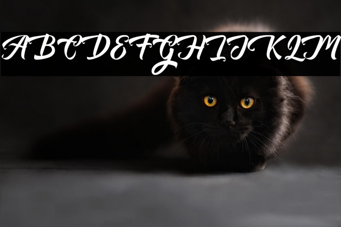 AuntekhnoScriptFree Example 3