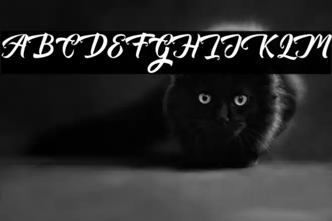 AuntekhnoScriptFree Font examples