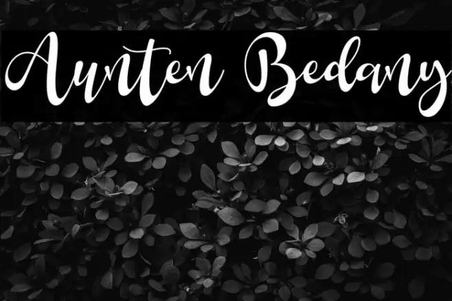 Aunten Bedany Font examples