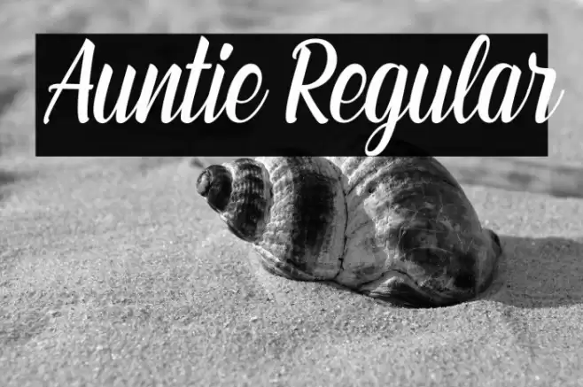 Auntie Regular Font examples