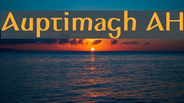 Auptimagh AH Polices examples