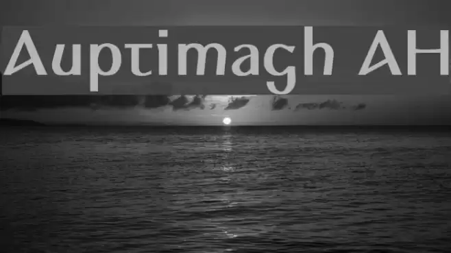 Auptimagh AH Polices examples
