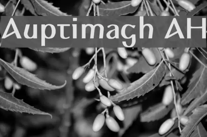 Auptimagh AH Polices examples