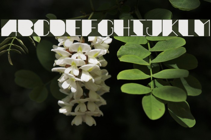 Aura Regular Example 3