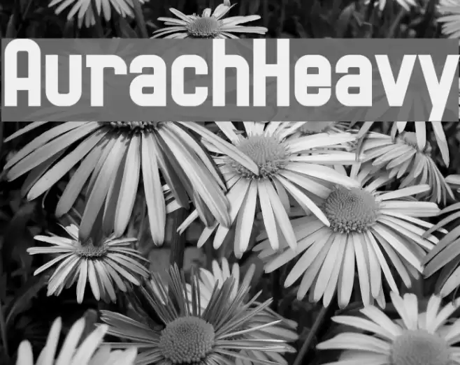 AurachHeavy Font examples