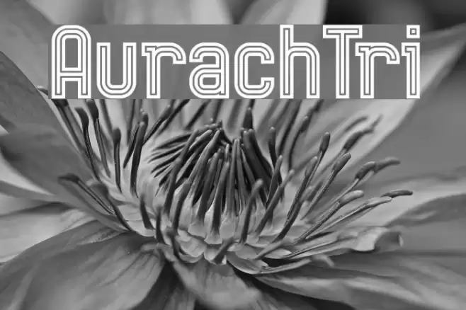 AurachTri Font examples