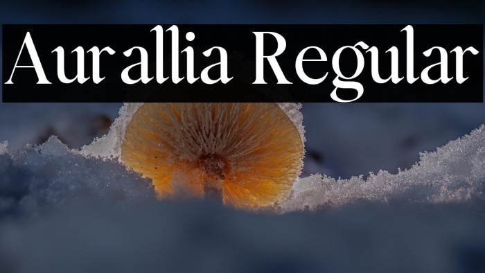 Aurallia Regular Example 2