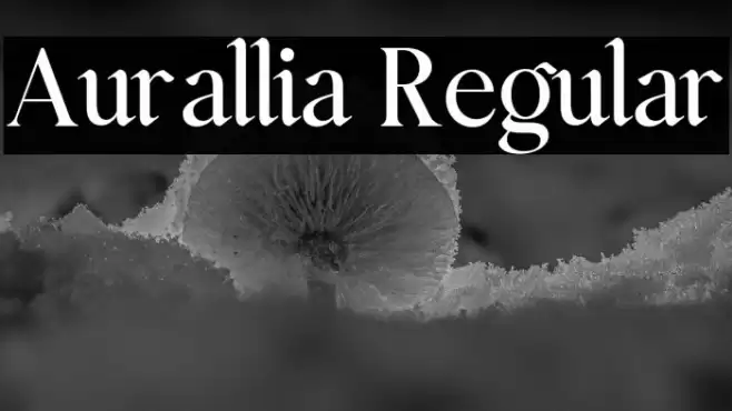 Aurallia Regular Font examples