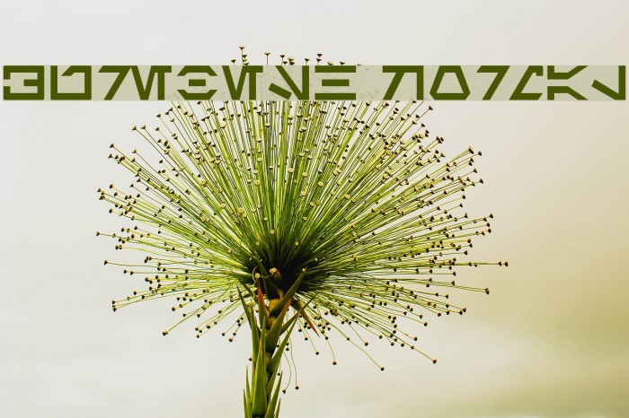 Aurebesh Normal Font examples